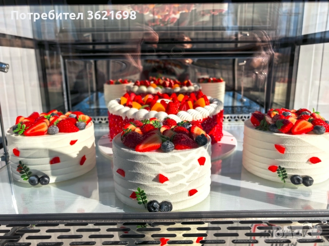 Хладилна витрина 270 литра, CM-900B, снимка 14 - Хладилни витрини и фризери - 52629068