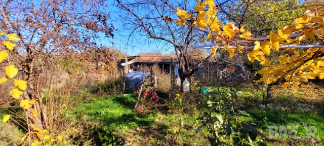 Къща с голям двор, пещ и допълнителни постройки – отлична цена!, снимка 3 - Къщи - 52416813