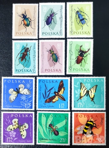Полша, 1961 г. - пълна серия чисти марки (насекоми, пеперуди) 6*7