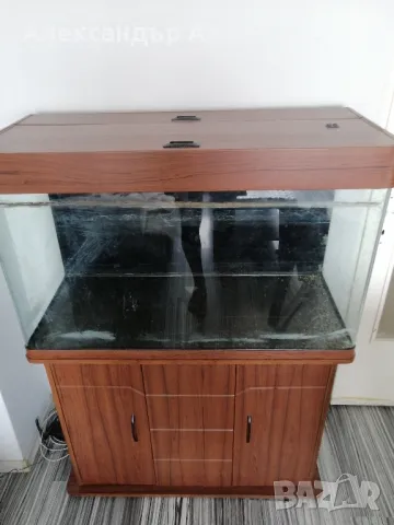 Аквариум 260 литра с шкаф, снимка 3 - Аквариуми - 47345477