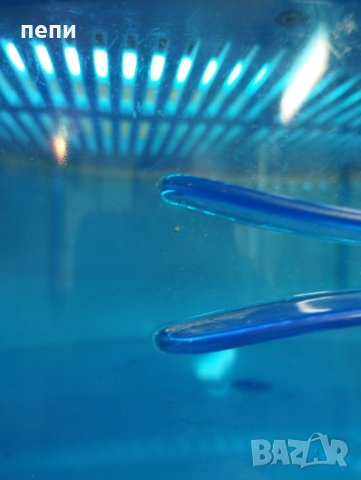 Стерилизатор 