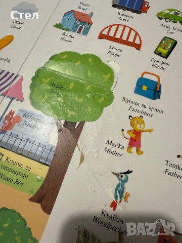 Мечето Бизи голяма книга с първи думи, снимка 3 - Детски книжки - 52506853