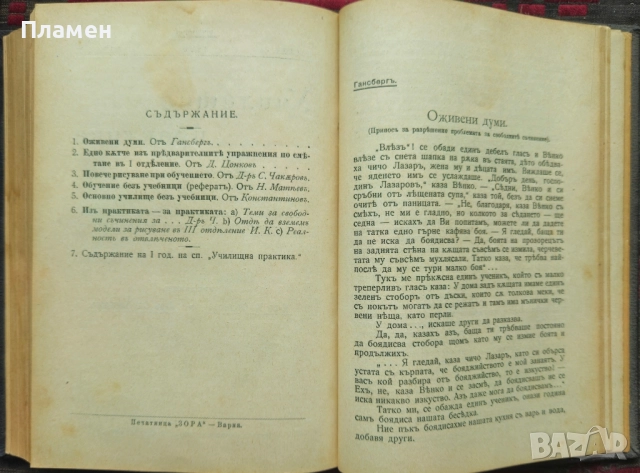 Училищна практика. Год. 1: Книга 1-10 / 1906, снимка 13 - Антикварни и старинни предмети - 51837003