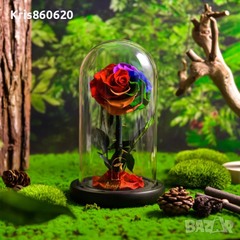 Омагьосаната роза – лимитирано издание Вечна роза - Цветна радост в подаръчна опаковка, снимка 5 - Стайни растения - 44560338