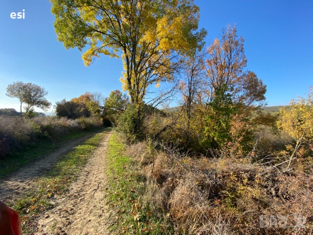Евтина земя до Провадия - Дългопол, обл. Варна, снимка 3 - Земеделска земя - 53720204