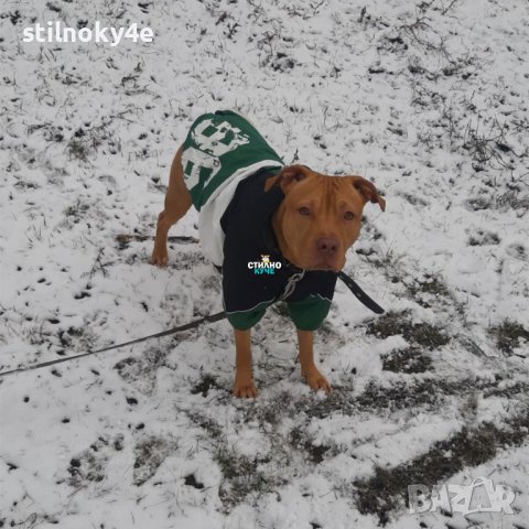 Кучешко яке за средни/едри породи Кучешка дреха-яка за представители на средни/едри породи , снимка 6 - За кучета - 28095154