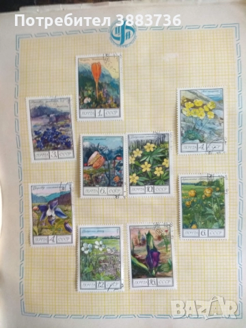Колекция съветски пощенски марки 80 бр, снимка 9 - Филателия - 52721558