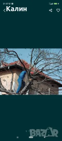 рязане на опасни дървета, снимка 2 - Други услуги - 50156020