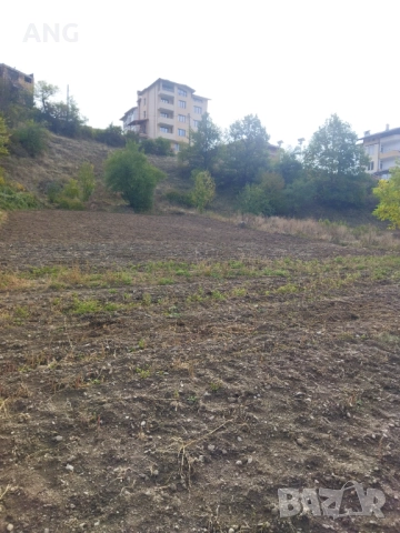 Продава парцел в гр.Смолян, снимка 12 - Парцели - 52053155