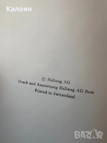 Книга за Албрехт Дюрер - акварели и рисунки на немски , снимка 4 - Специализирана литература - 51009336