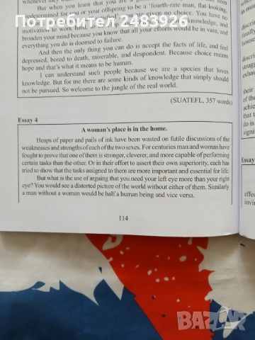 Есе за шестица - подготовка за изпити по английски език  Румяна Благоева , снимка 6 - Учебници, учебни тетрадки - 51706459