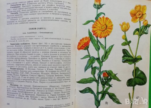 Нашите лекарствени растения, част 1, Нено Стоянов, снимка 5 - Специализирана литература - 52270228
