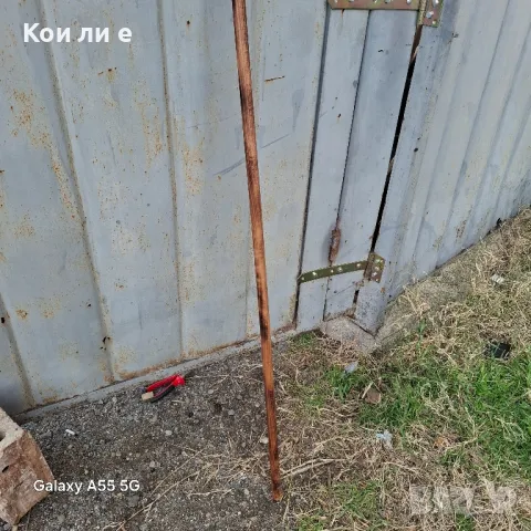 гега кривак 