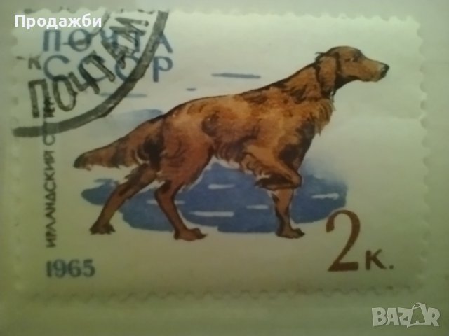 Стари марки с животни, снимка 8 - Филателия - 41476781