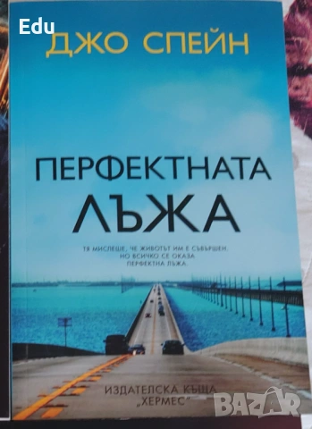 Книги на Даниел Стийл, Фицджералд, Павоун, Агата Кристи, Майкълидис, Конъли, Хейли, снимка 14 - Художествена литература - 25111417