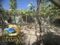 Едноетажна къща в село Радиево, общ. Димитровград, снимка 4