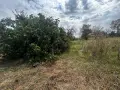 Наследствен имот за продажба от собствениците, с. Страцин., снимка 11