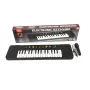 Йоника, Електронен синтезатор, С микрофон, 32 клавиша за деца , снимка 2