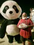 Панда , panda варна парти аниматор , снимка 1