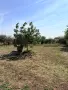 ПРОДАВАМ КЪЩА -Готова за нанасяне, снимка 15