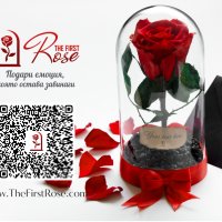Подарък за Имен Ден / Естествена Вечна Роза в Стъкленица / Оригинален Подарък Жива Вечна Роза, снимка 3 - Подаръци за имен ден - 38771445