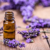 Лавандулово масло/Lavender essential oil, снимка 1 - Ароматизатори - 41265965