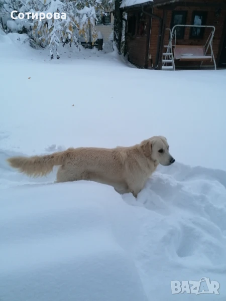 Бъди си търси партньорка, снимка 1