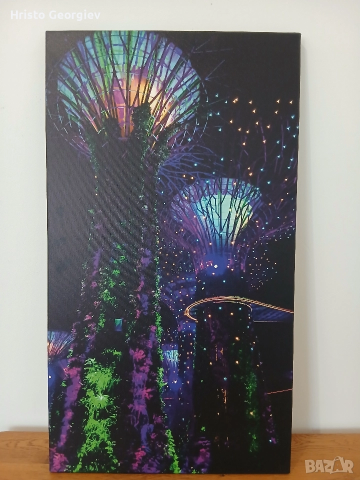 Картина Снимка Сингапур , снимка 1