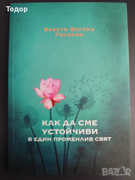 Бхакти Вигяна Госвами - Как да сме устойчиви в един променлив свят, снимка 1
