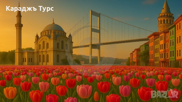 Истанбул в лалета🌷 – пролетна приказка край Босфора 5 дни / 3 нощувки и 🎁 Всеки 6-ти пътува безпла
