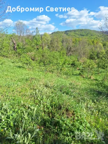 парцел в Еленският балкан , снимка 11 - Парцели - 50342176
