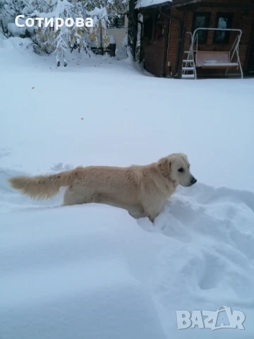 Бъди си търси партньорка