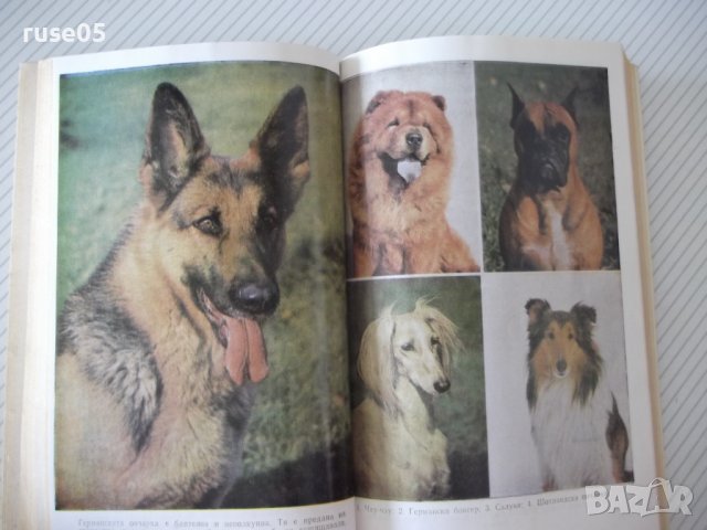 Книга "Моето куче - Манфред Кох-Костерзиц" - 212 стр., снимка 7 - Специализирана литература - 40059108