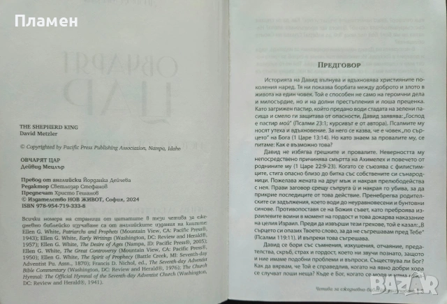 Овчарят цар. Истории от живота на Давид Дейвид Мецлър , снимка 3 - Други - 53441051