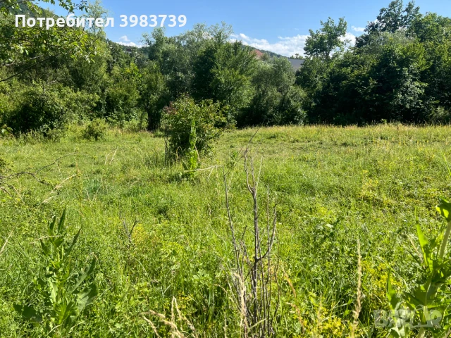 1533кв. ул. Митко Палаузов. До парк ''МАРКОТЕЯ', снимка 4 - Парцели - 50821367