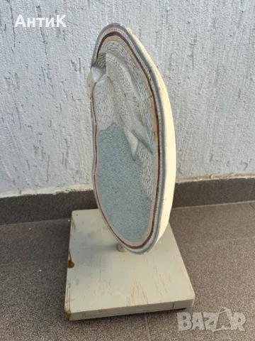 Соц Учебен Макет Модел Биология Учтехпром, снимка 6 - Антикварни и старинни предмети - 47947337