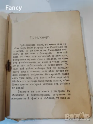 Стара книга "Сръбско българските отношения" 1918 г, снимка 3 - Колекции - 47631731