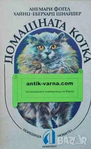 Домашната котка Анемари Фогел