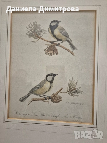 Три рамкирани принта с красиви птици, снимка 4 - Картини - 52466840