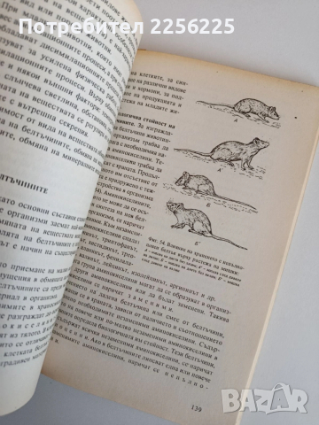 Анатомия и физиология на селскостопанските животни, снимка 4 - Специализирана литература - 53862663