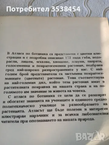 Атлас по ботаника , снимка 2 - Други - 50327821