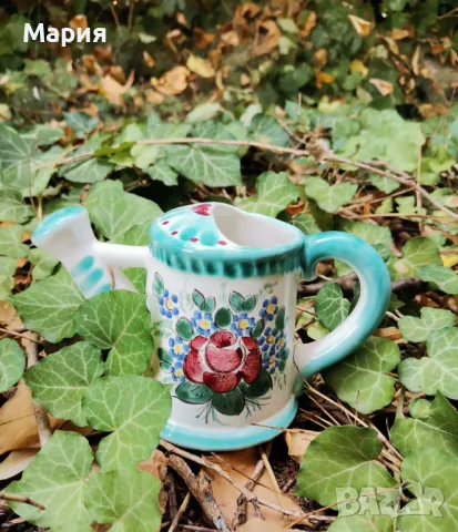 Порцеланова лейка