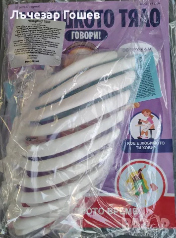 Човешкото тяло говори брой 40,42,43, 44 и 45., снимка 11 - Колекции - 52217108