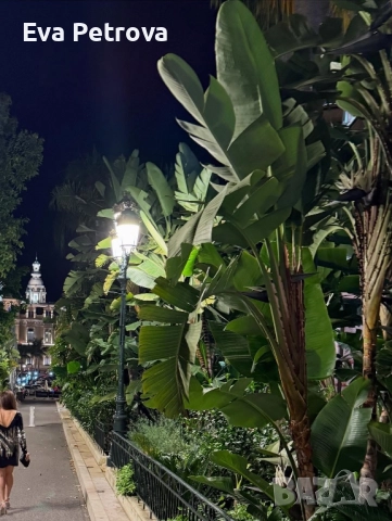 Елегантна дамска рокля с V-образен гръб М/Л, снимка 8 - Рокли - 52558037