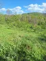 парцел в Еленският балкан , снимка 11