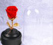 Вълшебна неувяхваща роза в стъкленица с LED светлина