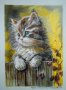 Ново!Любопитното котенце-картина(молив), снимка 1 - Картини - 44357016