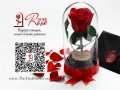 Подарък за Рожден Ден / ЕСТЕСТВЕНА Вечна Роза в Стъкленица / Оригинален Подарък за Жена / Вечна Роза, снимка 5