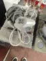 продавам работещи psp1, снимка 2