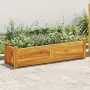 vidaXL Градинска повдигната леха, акациево дърво, 100x30x25 см, снимка 2